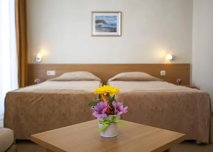 Melsa Coop Отель 3*