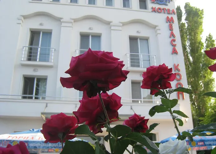 Melsa Coop Отель 3*